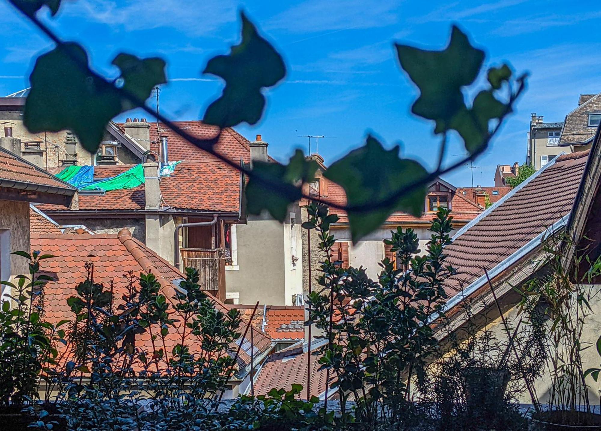 Nid Douillet Bed and Breakfast Άννεσι Εξωτερικό φωτογραφία