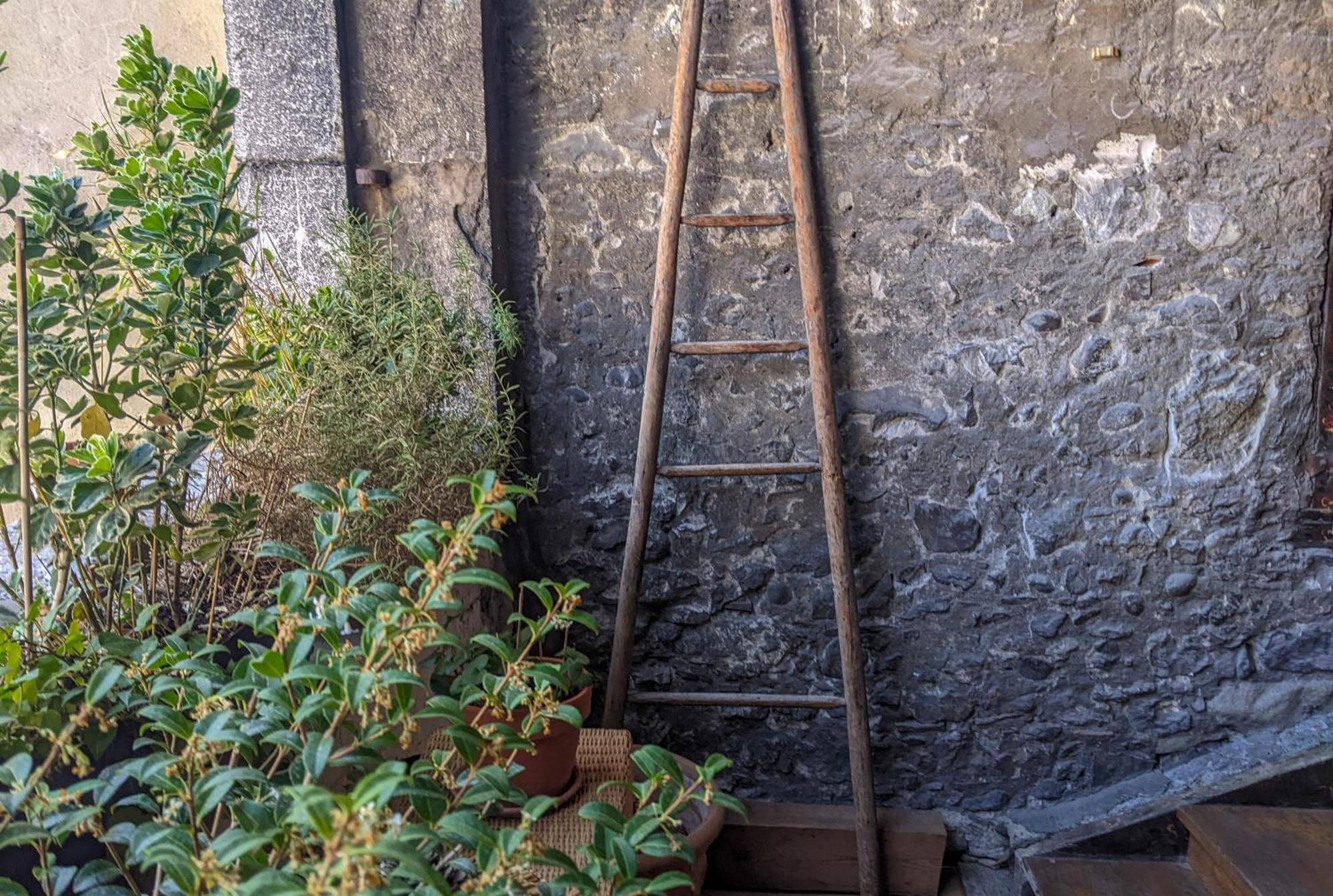 Nid Douillet Bed and Breakfast Άννεσι Εξωτερικό φωτογραφία